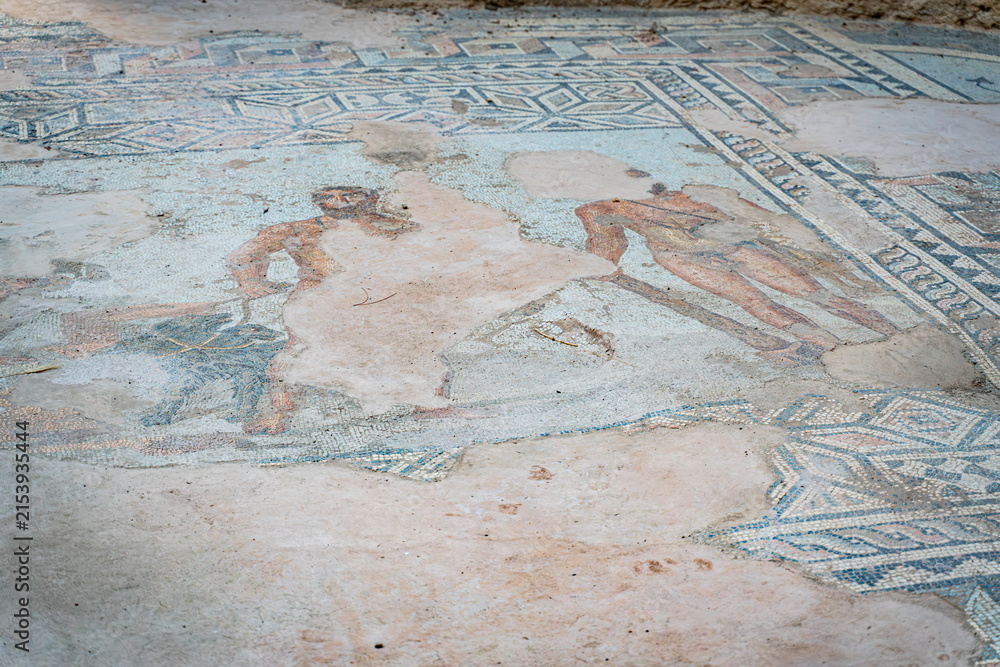Fototapeta premium Ancient Mosaic Floor at Syedra Archaeological Site, Turkey