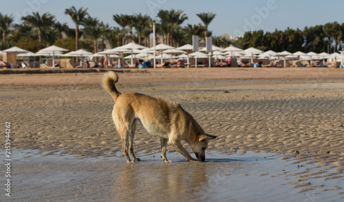 Photography Egypt