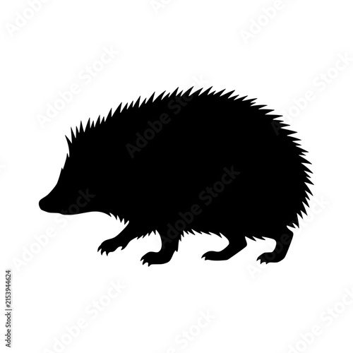 Hedgehog silhouette walking vector illustration