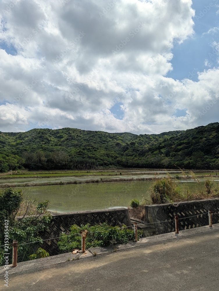 Fototapeta premium Rural Agricultural Fields and Forested Mountains under Cloudy Blue Sky in Ishigaki Okinawa Japan