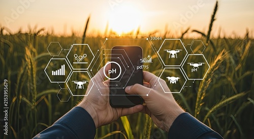 Farmer using smartphone with augmented reality overlay for precision agriculture in a cornfield at sunset.
