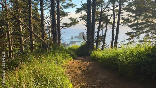 Coastal Forest Trail Overlooking Sea Stacks at Ecola State Park