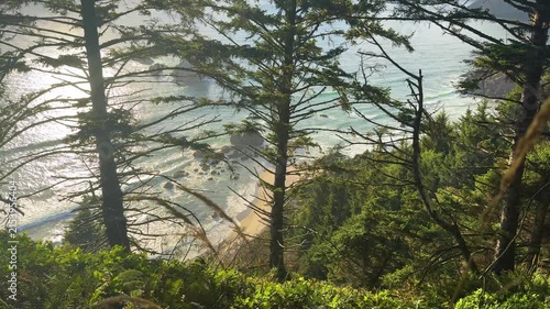Forest Overlook Above a Rocky Beach at Ecola State Park Oregon
