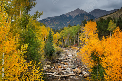 Middle Cottonwood Creek