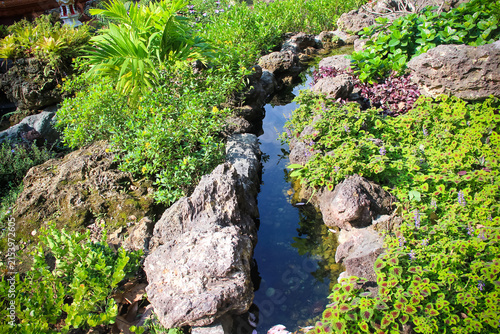 View natural garden decorative with stone near stream flowing