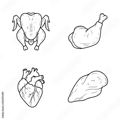 Meat and Organ Anatomy Line Art Icons Set
