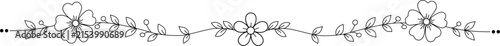 segmentation line flowers