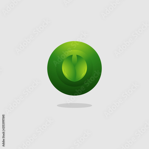 Abstract Circular Leaf Swirl Logo