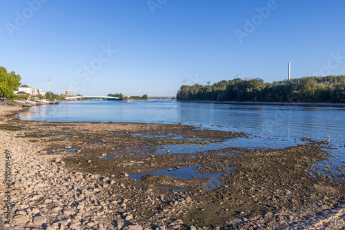 river rhine at low water in Mainz-Kastel, Rhineland Palatinate