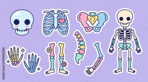 Cute skeleton anatomy elements featuring pastel colored bones and stickers in a fun vector graphic design