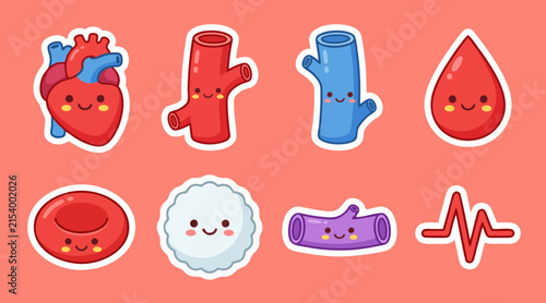 Cute colorful vector illustration set featuring human heart blood cells and anatomical vessels with smiling faces