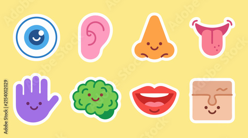 Human body parts vector sticker set featuring cute smiling expressions in bright colorful cartoon flat style