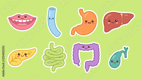 Foto Colorful human digestive system organs represented as cute vector stickers with