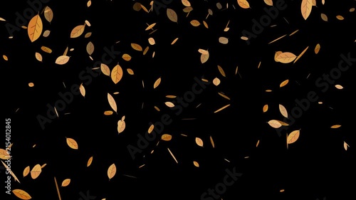 Scattered Autumn Leaves Falling Animation with Transparent Background