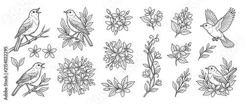 Obraz na płótnie Vintage Bird and Flower Illustrations Isolated