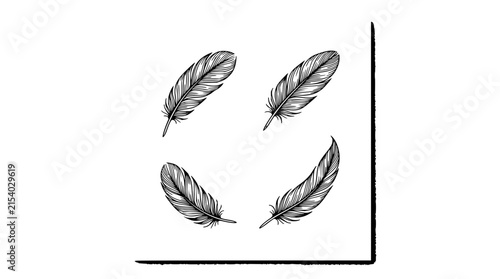 Feather set with four detailed line art drawings featuring realistic, minimalist, and abstract styles with ornithological and decorative elements