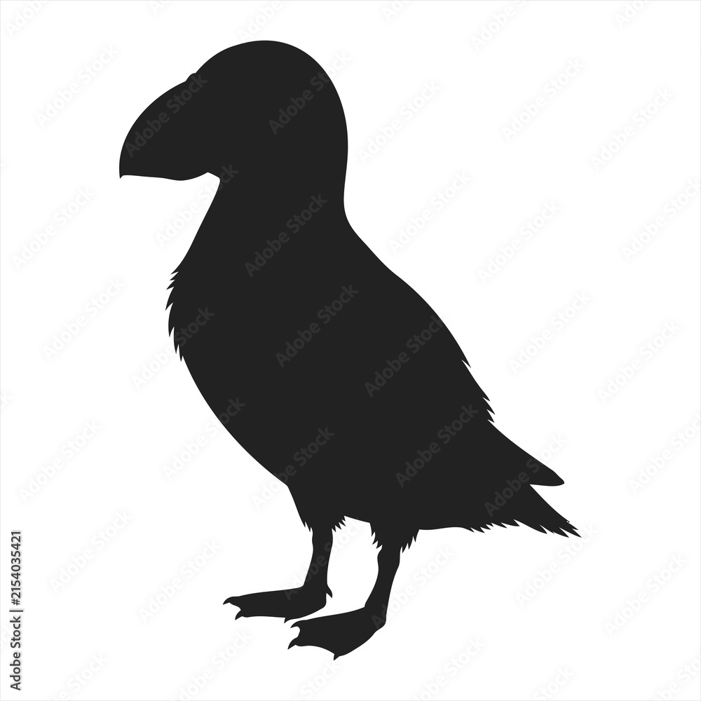 Fototapeta premium Vector illustration of a black puffin bird silhouette standing