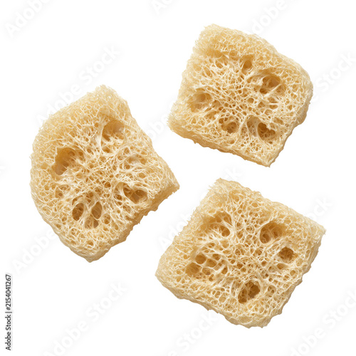 Natural loofah sponge pieces with rough texture and sensory porous surface for exfoliating and cleaning skin