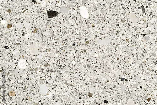 Light Gray Terrazzo Flooring with Fine Black and White Stone Chips.