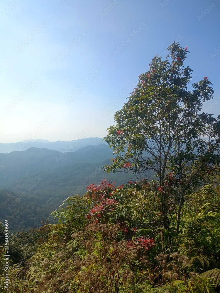 Fototapeta premium autumn in the mountains
