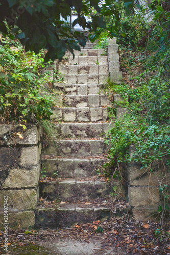 Old Stone Staircase in Lush Garden
