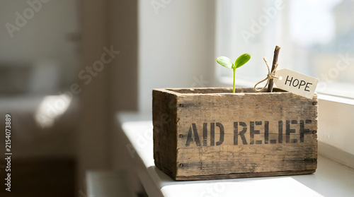 Aid relief wooden crate with seedling growing symbolizing hope and new beginnings.