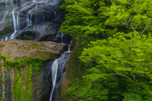Fotografía 袋田の滝