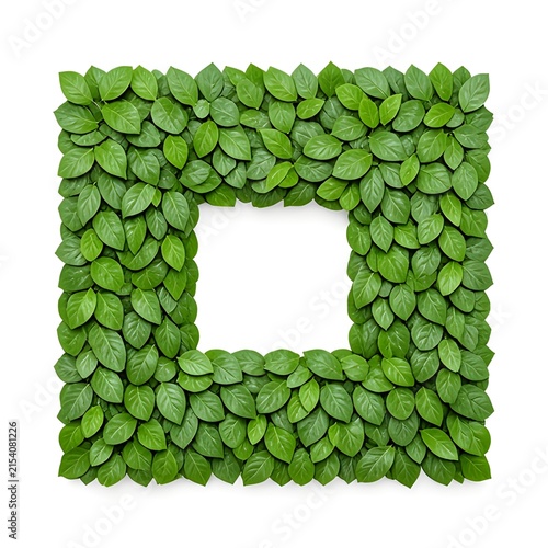A square frame made of green leaves on a white background for nature lovers
