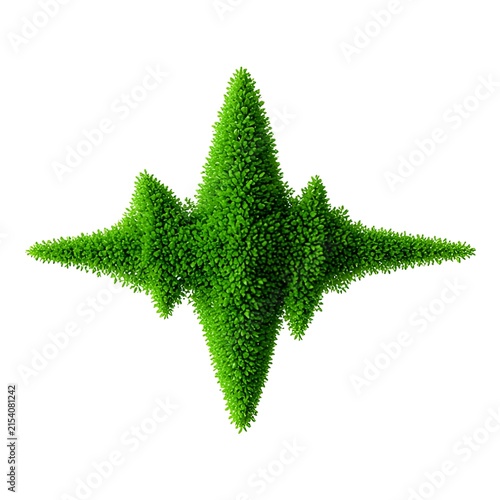 A green star shaped topiary plant on a white background for gardening and landscaping