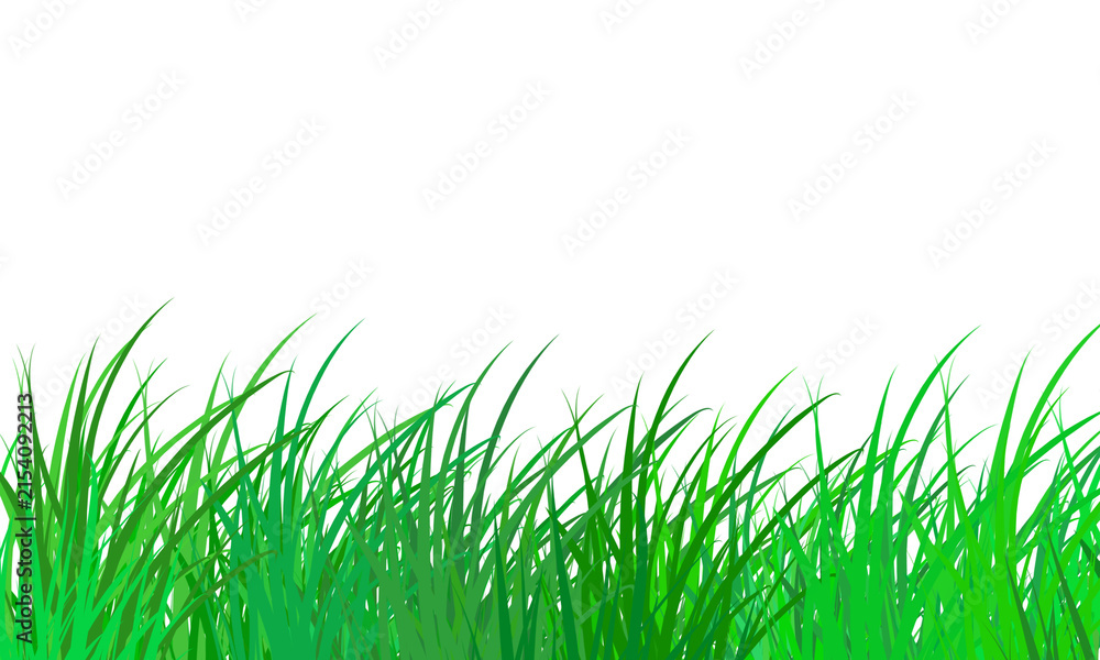 Obraz premium Fresh green grass blades isolated on transparent background for nature design elements
