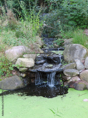 Obraz na płótnie waterfall in the forest
