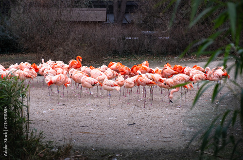 Prague Zoo
