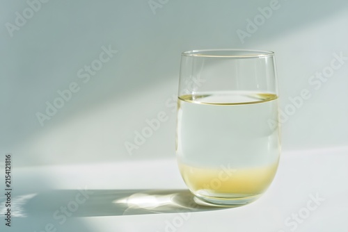A Simple Yet Elegant Glass of Water Captured in Soft Natural Light, Highlighting the Clarity and Reflections of the Liquid Inside