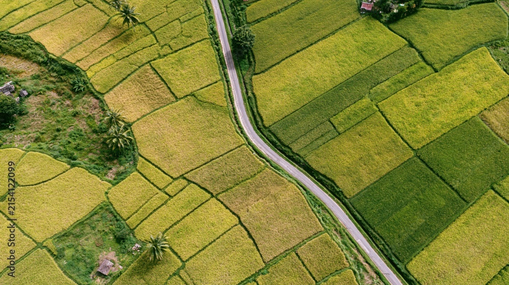Obraz premium The Rice Fields From Above Amid Winding Road and Patchwork Landscape