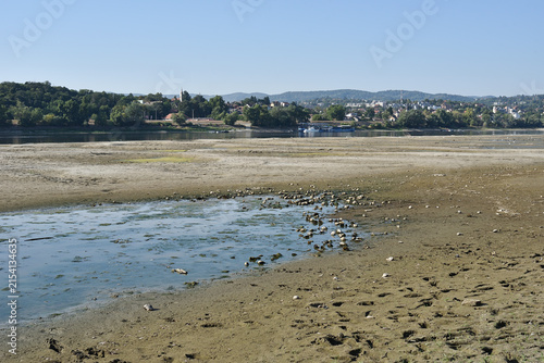 Картината върху платно Low river water level on the Danube with shells at the bottom of a drying riverb