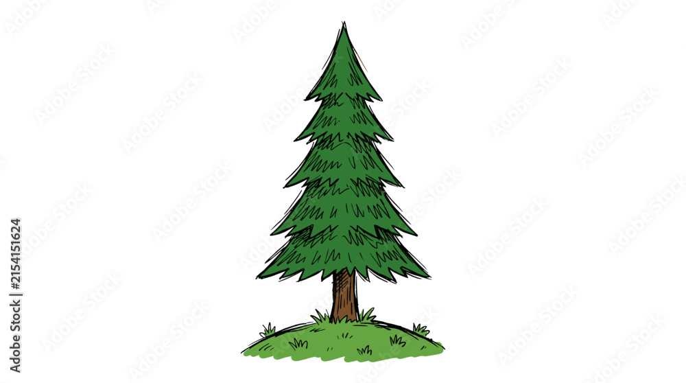 Fototapeta premium Charming Hand-Drawn Doodle Sketch of a Single Tall Evergreen Pine Tree for Nature Illustration