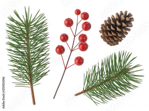 Set of festive pine branches and red winter berries with pinecone isolated on transparent background for holiday decor