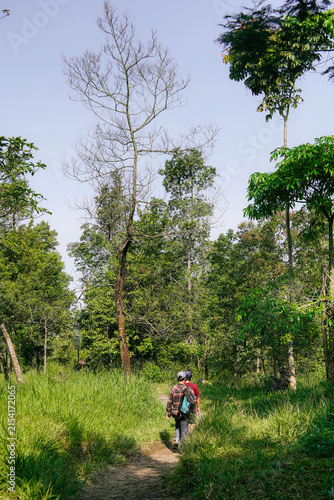Two People Walking on a Forest Path, Together with Friends