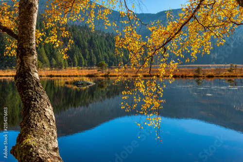 Kleiner Arbersee im Bayerischen Wald