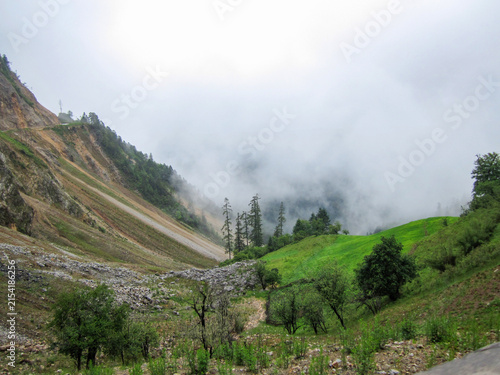 фотографія Misty Mountain Slope with Green Grass and Trees