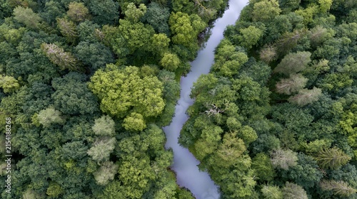 The River Winding Through Dense Forest Captured From An Aerial Serene Perspective