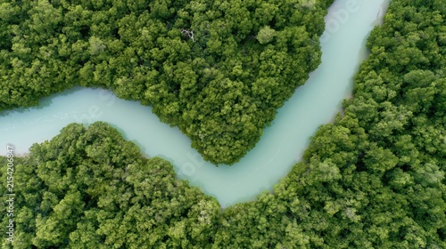 The River Winding Through Dense Forest Canopy Captures Turquoise Waterway From Above