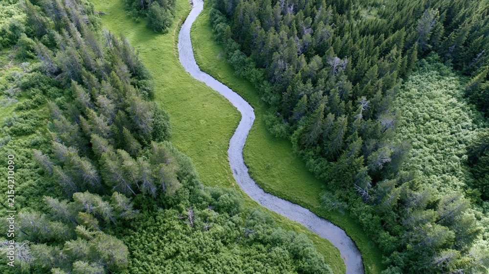 Obraz premium The Winding Forest Path Through Lush Verdant Landscape Captured From Above