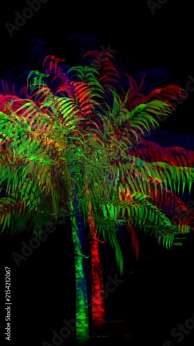 Animation of palm tree over black background