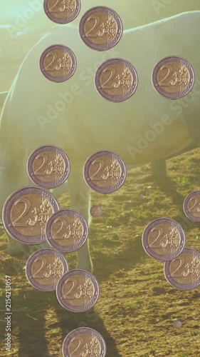 Animation of coins over horse