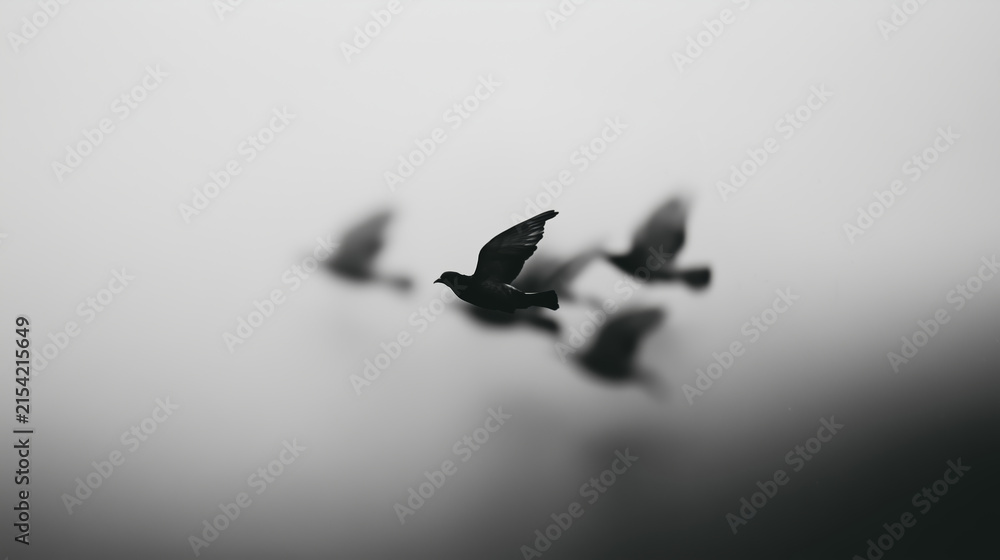 Fototapeta premium Graphic photo of black pigeons flying through foggy gray sky
