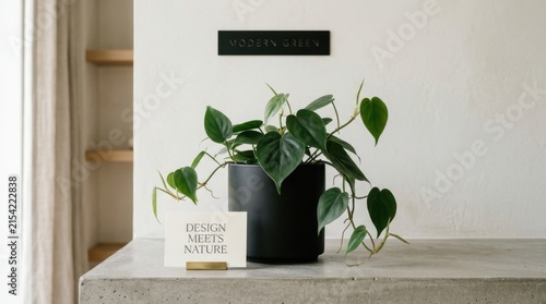 Lush heartleaf philodendron plant in a matte black pot placed on a polished concrete surface inside a minimalist room with signs reading modern green and design meets nature for eco