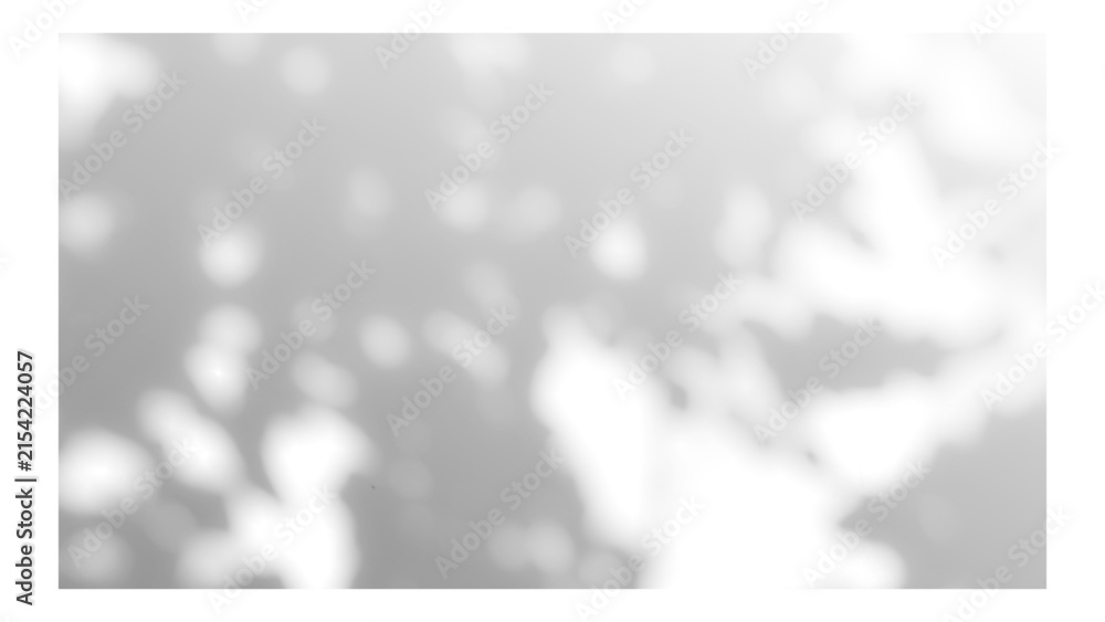 Fototapeta premium Frame with tree and leaf shadows, featuring grain and noise texture on a transparent background for your mockup