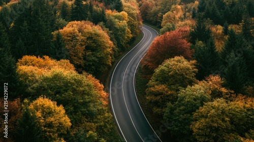 A winding road curves through a vibrant forest in autumn's colorful embrace