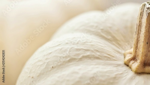 A close-up view of a white pumpkin showing the detailed texture of its skin and the woody stem, captured with soft lighting that highlights the organic ridges and natural surface patterns